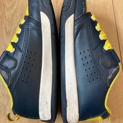 gravis21センチの画像