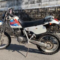 決まりました！ホンダ MD22の画像