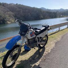 決まりました！ホンダ MD22の画像