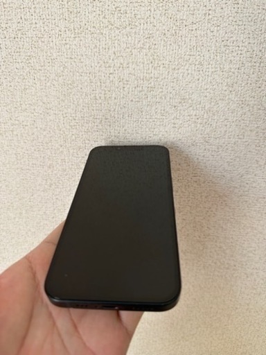 今日、明日限定価格