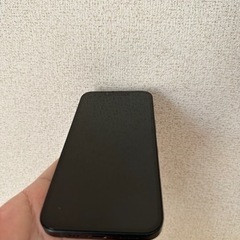 今日、明日限定価格