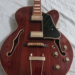 エレキギター ibanez AF95RW (ギグバッグ付き)