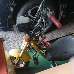 ロードフォックス