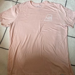 ノースフェイスティシャツ