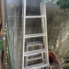 ハシゴ　大1 小1