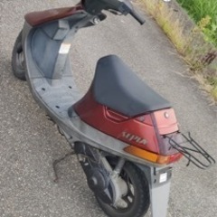 スズキセピアの画像
