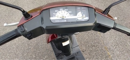 スズキセピア
