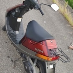 スズキセピアの画像