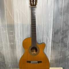 Artwood アートウッド 　ギター　AWG600ENLA　規格外2