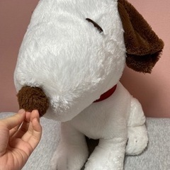 スヌーピー　ぬいぐるみ！の画像