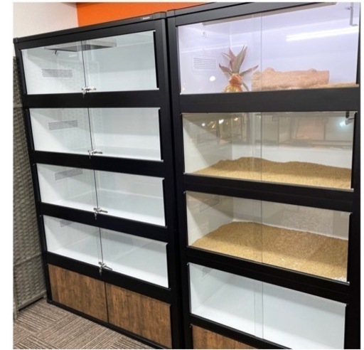 確認ページです