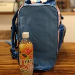 リュックサック 大きめ (2〜4泊) 1度使用☆  修学旅行  宿泊学習 自然学校 林間学校の画像