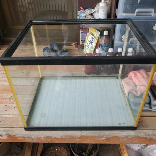 600×450×450ガラス水槽売ります。