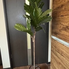 【人工観葉植物】フェイクグリーン おしゃれの画像