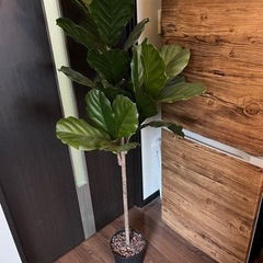 【人工観葉植物】フェイクグリーン おしゃれ
