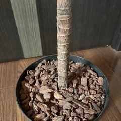 【人工観葉植物】フェイクグリーン おしゃれの画像