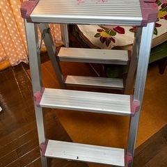 あると便利　脚立！　決まりました。