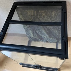 爬虫類ケージの画像