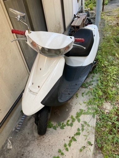 セピア　ジャンク