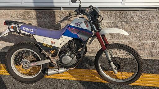 書あり　不動　セロー225 セロー