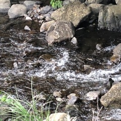 棚田で日帰りキャンプをしてみませんか？