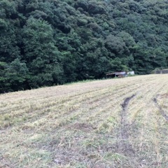 棚田で日帰りキャンプをしてみませんか？ - その他