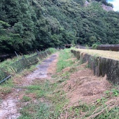 棚田で日帰りキャンプをしてみませんか？ - メンバー募集