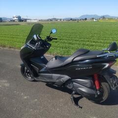 フォルツァsiの画像