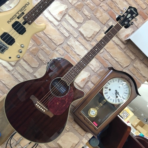 Ibanez AEG12II-NMH エレアコ　ほぼ未使用品　超美品！