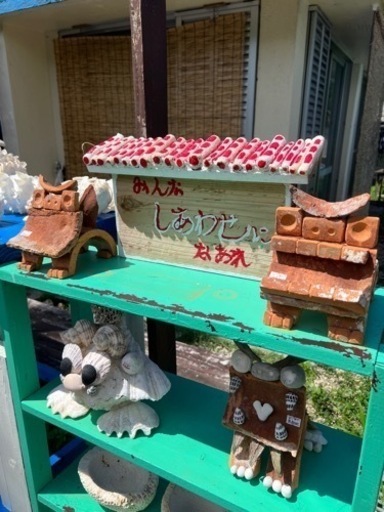 貝殻色々