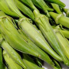 【さらに値下げ】野菜　オクラ（規格外）２の画像