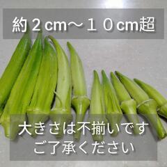 【さらに値下げ】野菜　オクラ（規格外）２の画像