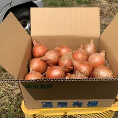 玉葱大玉1個400ｇ～ 10キロ ￥1000円　有機肥料のみ使用...