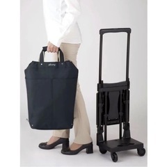 スワニーキャリーバッグ　イス付 スワニー 座面椅子付きキャリーバッグ