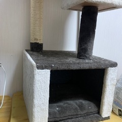 猫の家