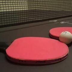 お卓球ですわよ🏓初心者向け