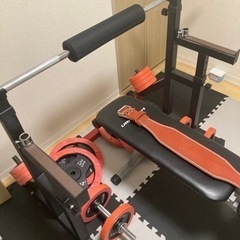 バーベルセット(100kg)、スタンド、懸垂マシン