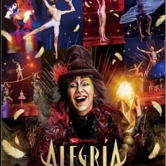 9月21日 アレグリア 残り1枚 シルク ド ソレイユ