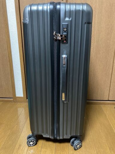 VARNIC スーツケース L サイズ(98L) グレー