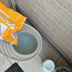 上から猫トイレ【2】プチサイズの画像