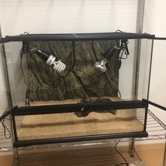 爬虫類飼育セットエキゾテラ6045