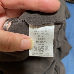 Tシャツ茶色の画像