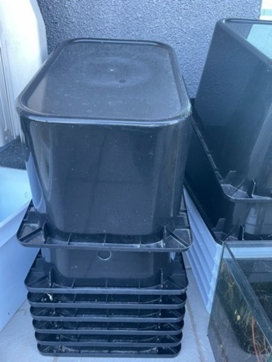 メダカ飼育用　18L  黒×10 白×9 オーバーフロー付き