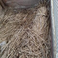 動物小屋の画像
