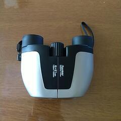 Raymay.rxb873.8x21双眼鏡