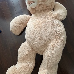くまのぬいぐるみの画像