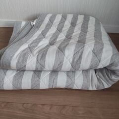 ニトリ カーペットの画像