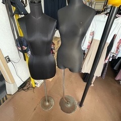 トルソー レディース マネキン 