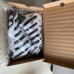 Reebok BIG HURT 28cm 美品の画像