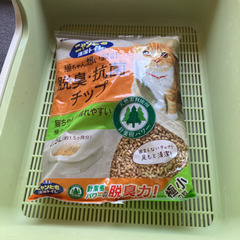 猫トイレの画像